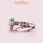 The Allie Platinum Halo Setting by Brian Gavin