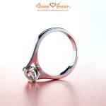 The Flowing Lines of the Classic Truth Solitaire