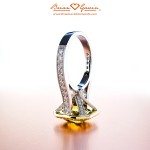 Signature Shot of Brian Gavin 18kt Gold 2 Tone Custom Diamond Halo Setting