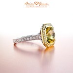 Jackie's Brian Gavin 18kt Gold 2 Tone Custom Diamond Halo Setting