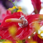 Magnificent "Flower" Picture of the Brian Gavin Custom Rings