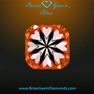 Brian Gavin Signature Cushion Cut Diamond