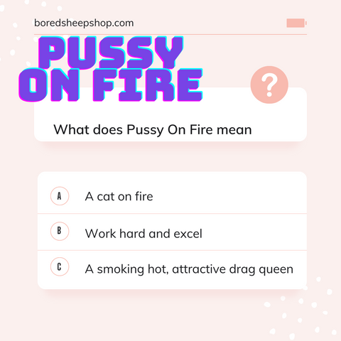 Pussy On Fire Rupauls drag race drag queen slag card game