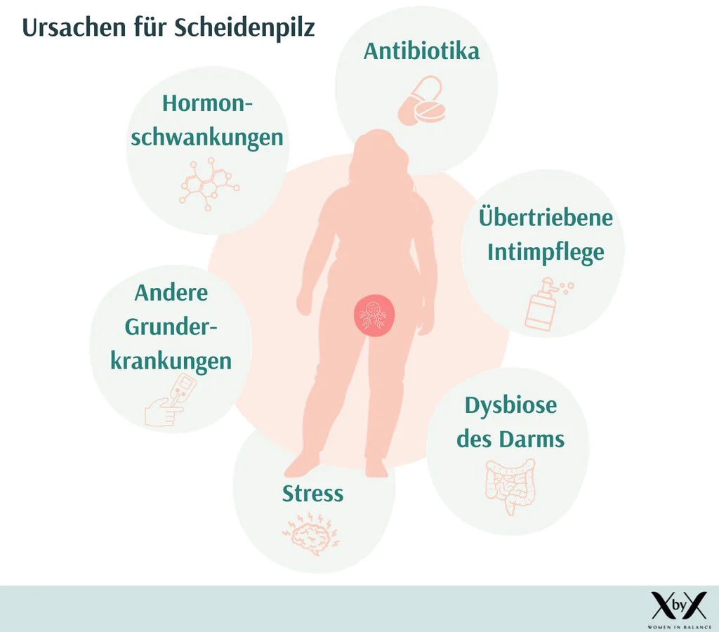 Ursachen Scheidenpilz