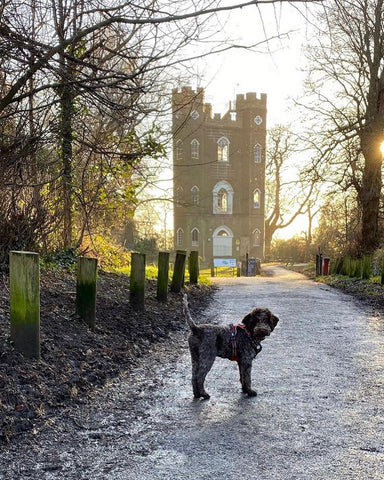 Pet-friendly Severndroog Castle in London