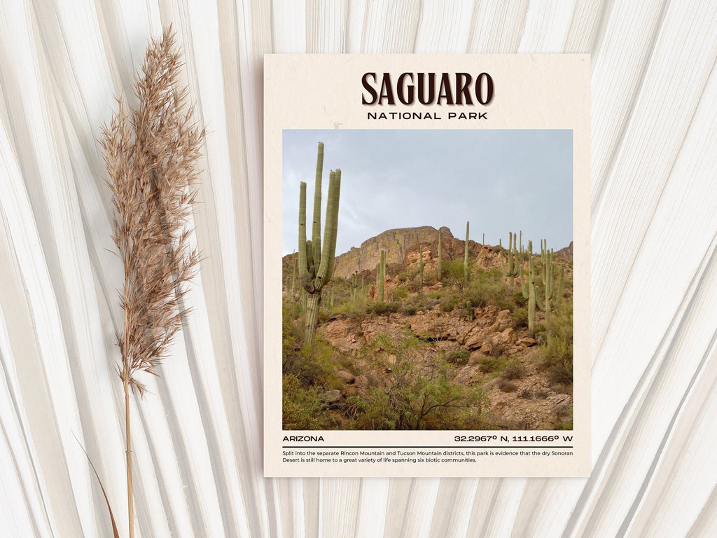 Unveiling the Beauty of Saguaro National Park: 5 Must-Do Activities