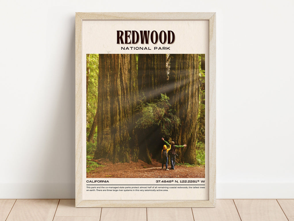 Embrace the Majesty of Redwood: 5 Unforgettable Experiences in California's Iconic Forest