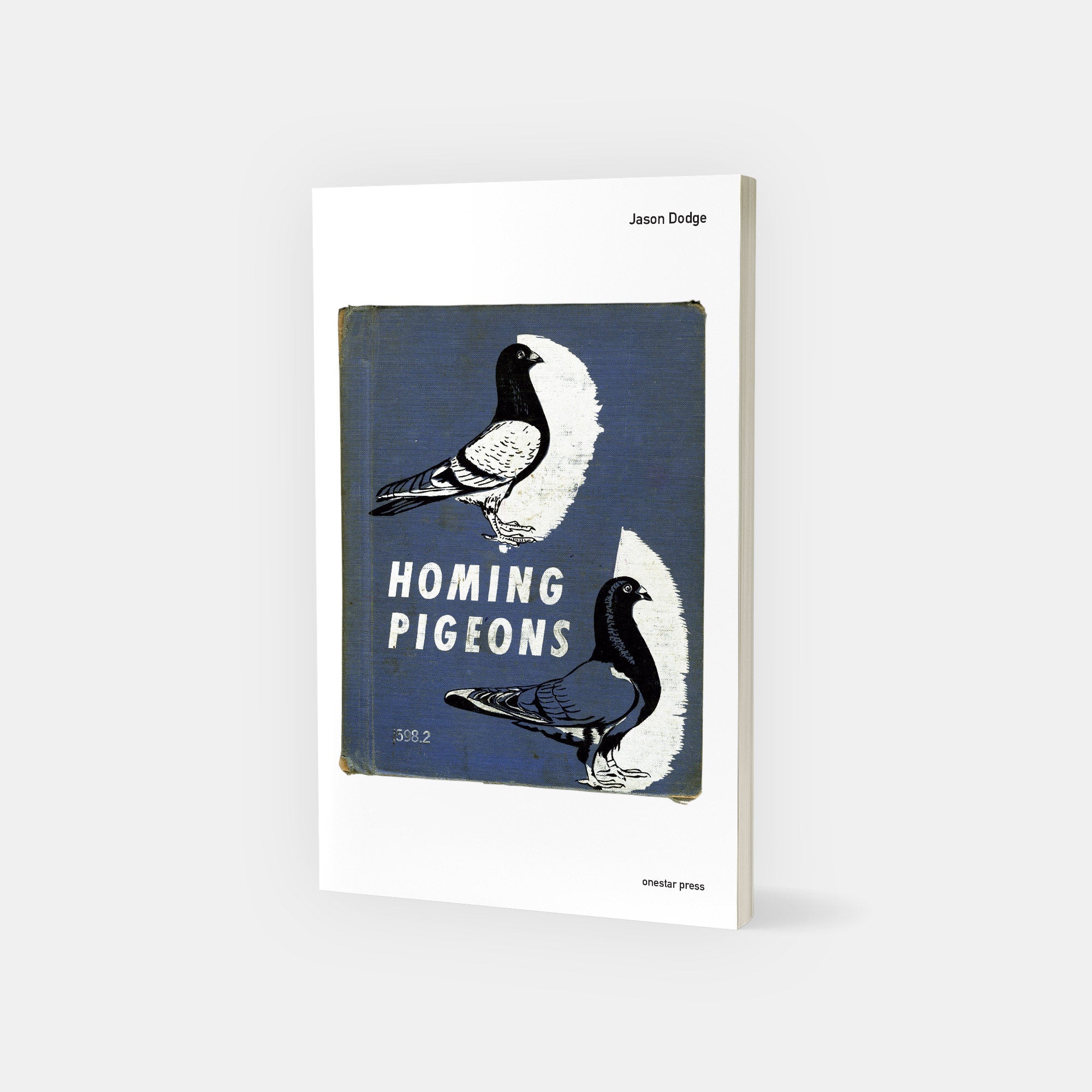 Homing Pigeons by Jason Dodge cover image