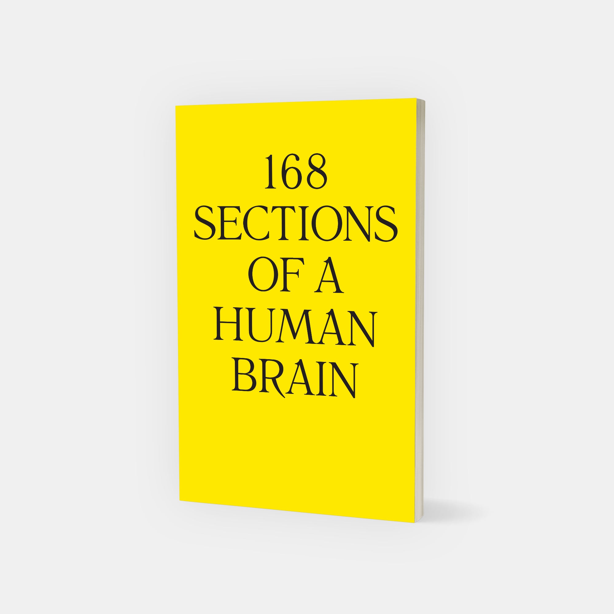 168 SECTIONS OF A HUMAN BRAIN by Rossella Biscotti cover image