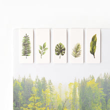 Load image into Gallery viewer, Monolike Magnetic Bookmarks Tropical, set of 5
