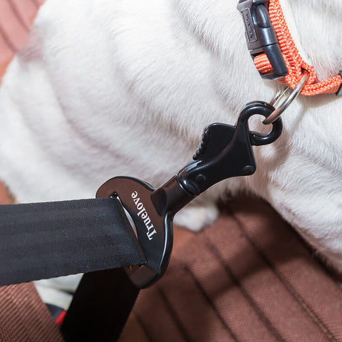 The best safety travel buckle for your dogs safety while riding in car.