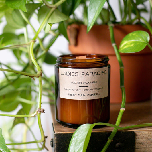 6 Reasons to Join the Coconut Wax Candle Takeover – The Calm Joy Candle Co