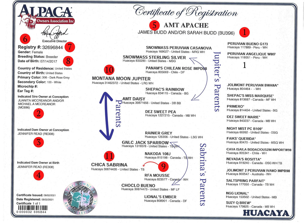 Alpaca ARI Diagram - How to read an alpaca ARI registration paper certificate