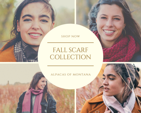 alpaca fall collection