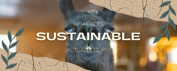 llama with text over it saying what doe sustainability mean