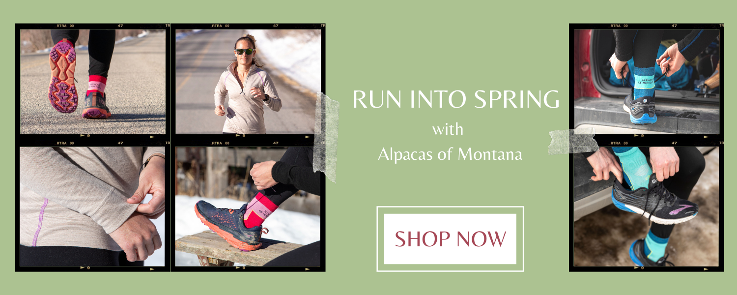 run into spring with Alpacas of Montana running socks!