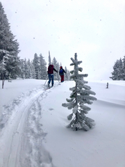 two skiers backcountry skiing in the mountains