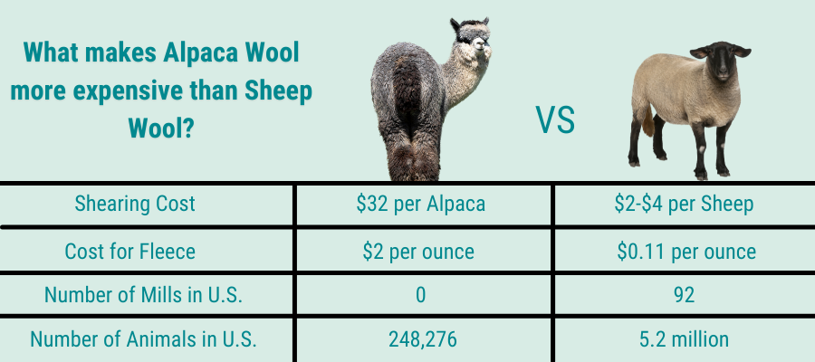 Alpaca Vs Lambs Wool, Best Alpaca Products