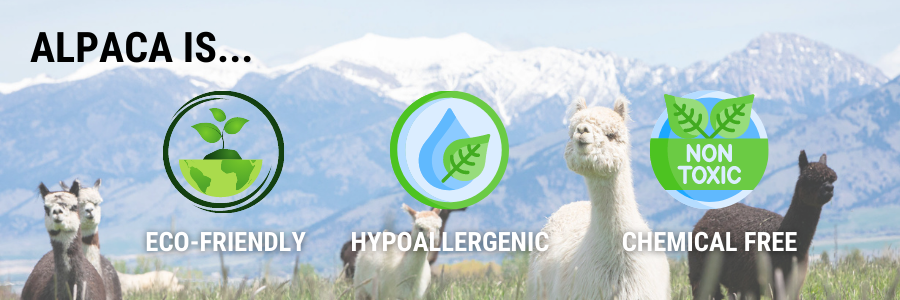 four alpacas standing in a green pasture with white snowcapped mountains and text that says alpaca is hypoallergenic, eco friendly and chemical free
