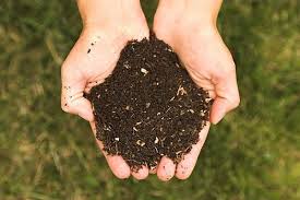 hands full of brown compost dirt over green grass