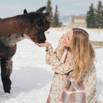 woman kneeling and feeding brown alpaca in snow