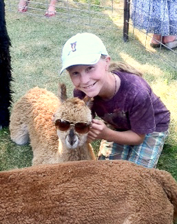 baby alpaca, alpaca, alpaca farm