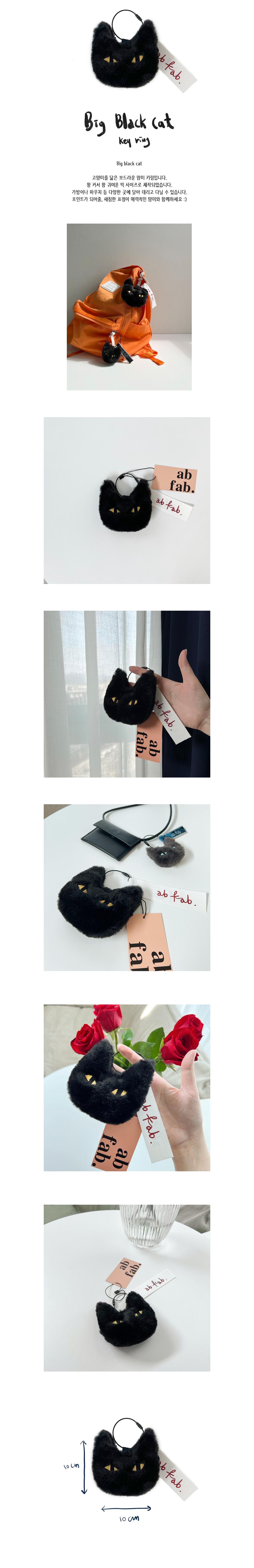 [BTS SUGA WEAR] AB FAB BLACK CAT KEYRING