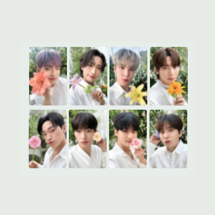 ATEEZ NACIFIC FLOWERING DAY SPECIAL PHOTOCARD SET