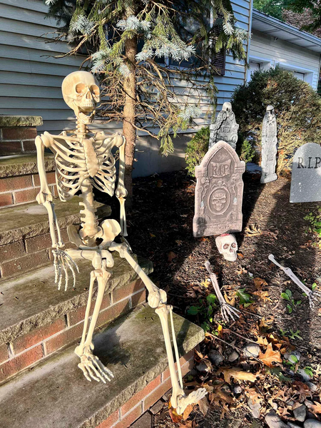 60-inch Posable Skeleton Halloween Decoration