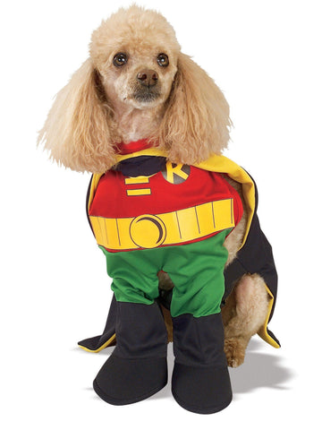  Rubie's DC League of Super Pets Lulu Small Pet Costume, As  Shown, Extra-Small : Pet Supplies