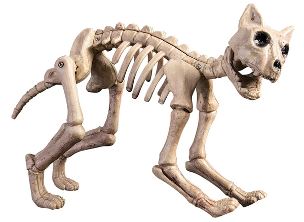 Skeleton cat Halloween decoration