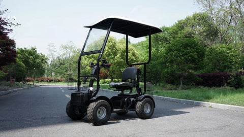Green Transporter Cheetah Ninja Mobility Golf Cart Outdoors