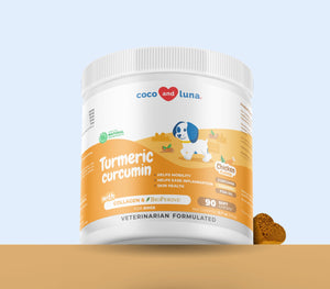 Turmeric for Dogs  - 90 Soft Chews - Coco and Luna