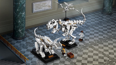 LEGO 21320 Ideen für Dinosaurierfossilien