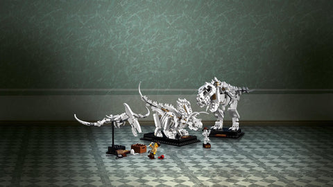 LEGO 21320 Ideen für Dinosaurierfossilien