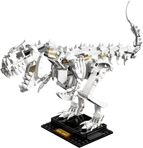 LEGO 21320 Ideen für Dinosaurierfossilien