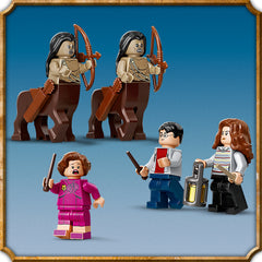 LEGO 75967 Verboden Bos: Omber en Groemp Harry Potter