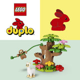 LEGO DUPLO | 2TTOYS