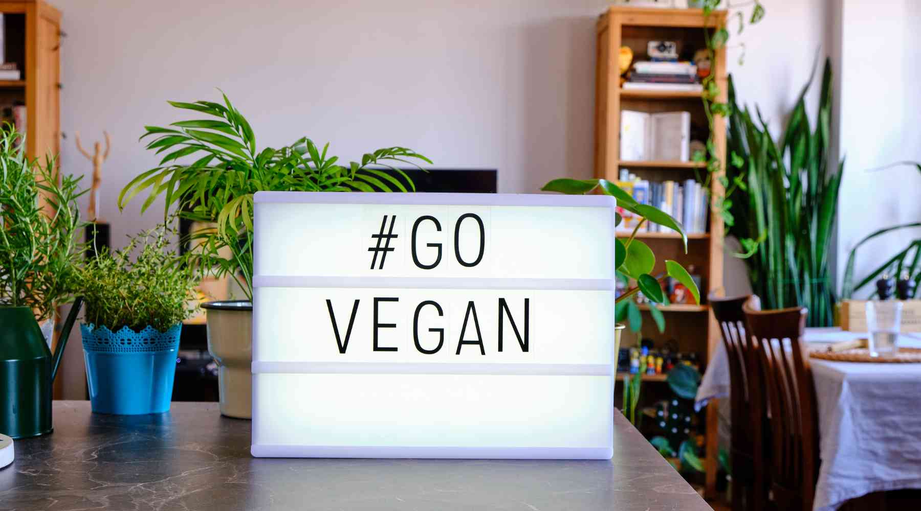 why go vegan