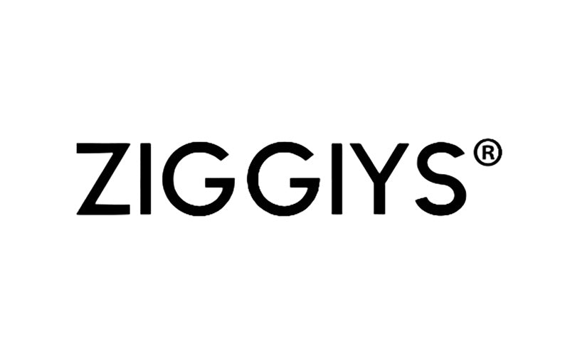 Ziggiys Logo