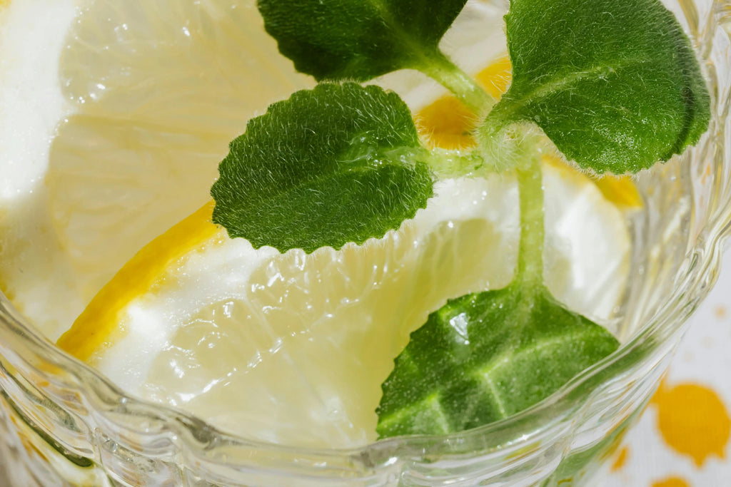 lemon in glass jar with ice and herbs