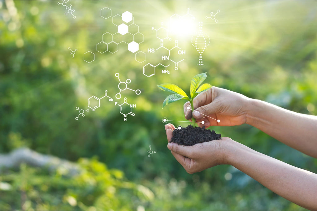 Dirt and seedling in hand with molecular structure
