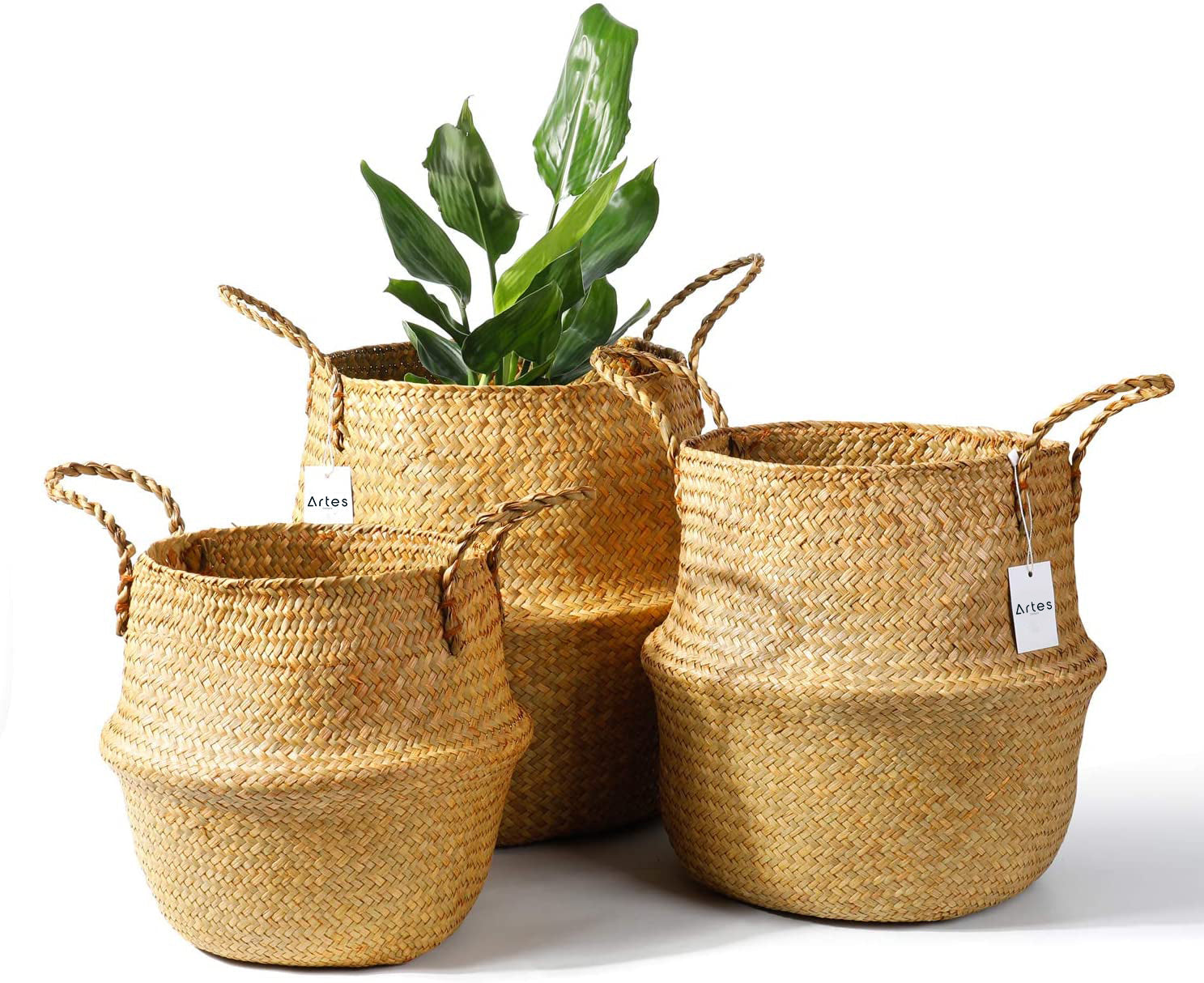 Seagrass Straw Woven Belly Basket with Woven Handles – Artes Designs