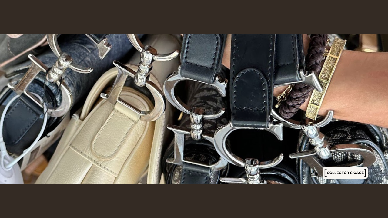 Dior Saddle Bags