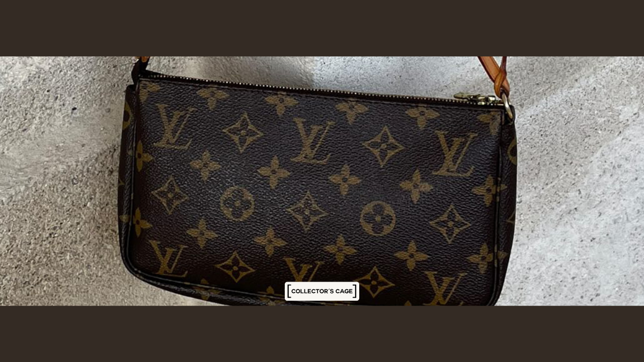 Louis Vuitton Pochette Accessory back