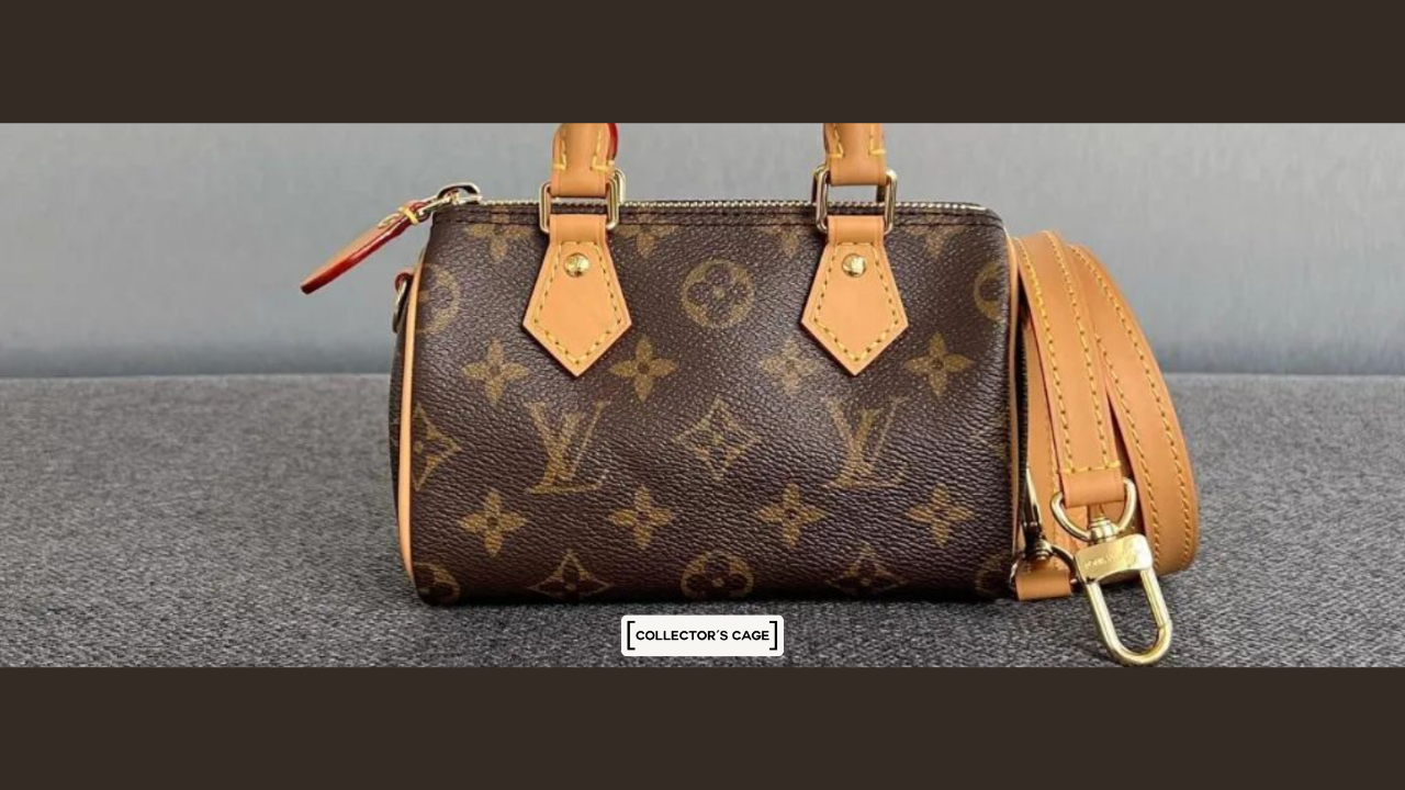 Louis Vuitton Speedy bag