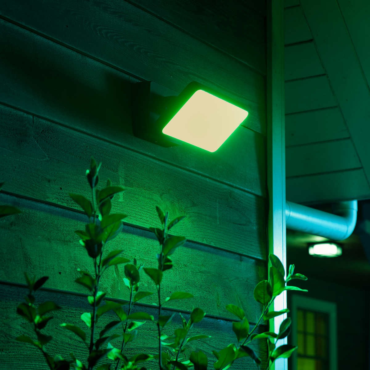 philips hue floodlight motion sensor