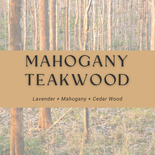 Mahogany Teakwood (2pk) Car Fresheners – Busywrld