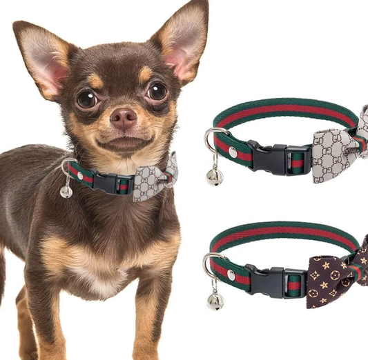Chewie Vuitton Bow Tie Harness, and Lead