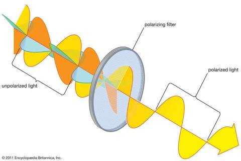 The polarisation of light through a polarisation filter.